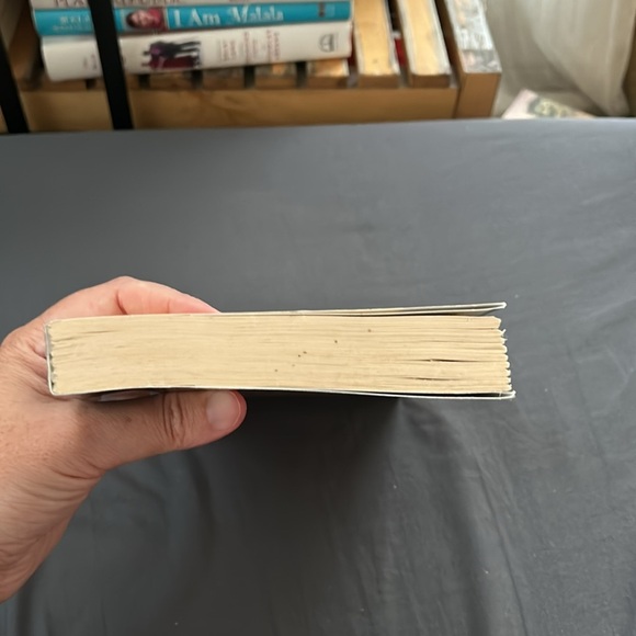 Fugitive Pieces by Anne Michaels, almost like new - Picture 6 of 9